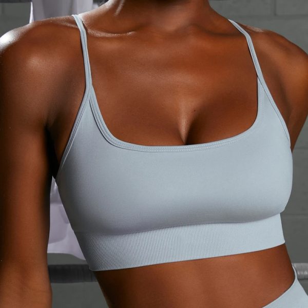 Seamless Blue Grey Sports Bra