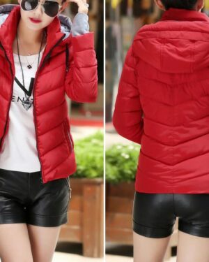 Parka Padded Panel With Hood Jacket