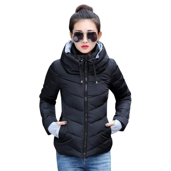 Parka Padded Panel No Hood Jacket