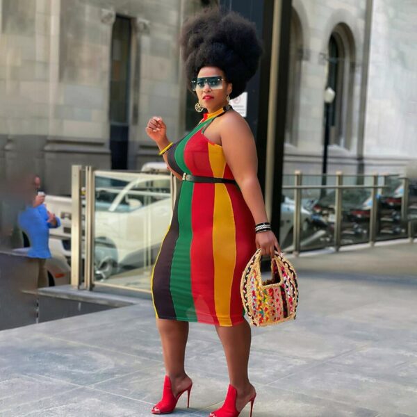 Stripes See Through Sleeveless Dress - Image 3