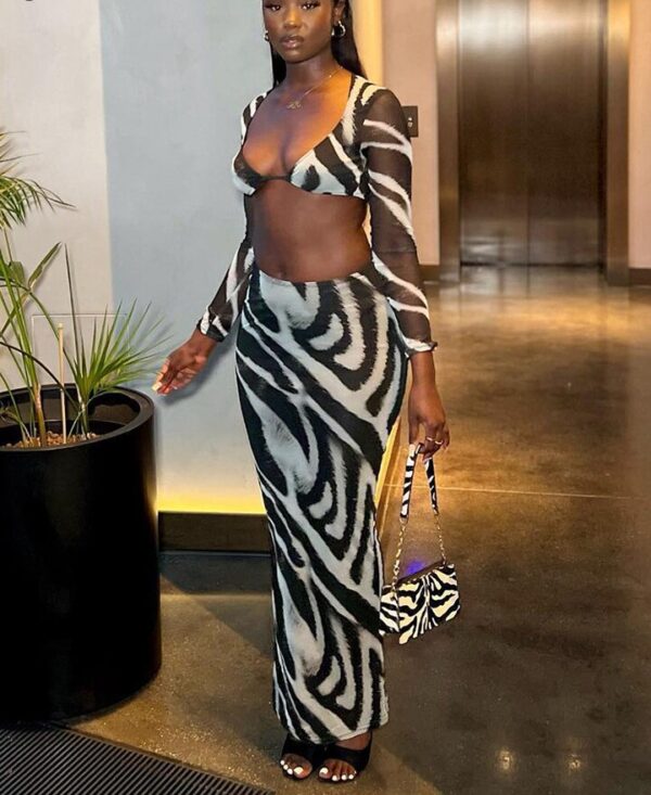 Stripe Bra Top & Hip Skirt Two Piece Set - Image 4